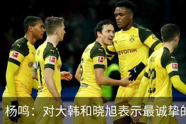 杨鸣：对大韩和晓旭表示最诚挚的感谢和尊重